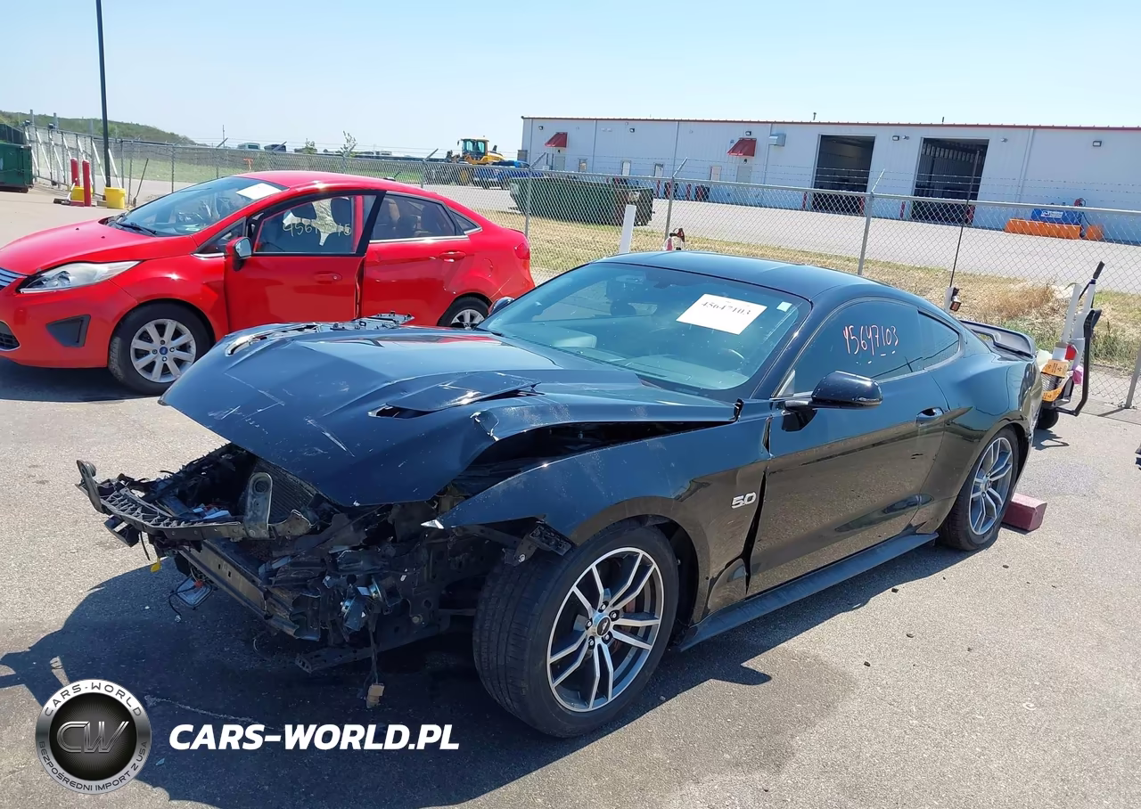 2015 Ford Mustang Gt Premium VIN:1FA6P8CF5F5391393 - 2