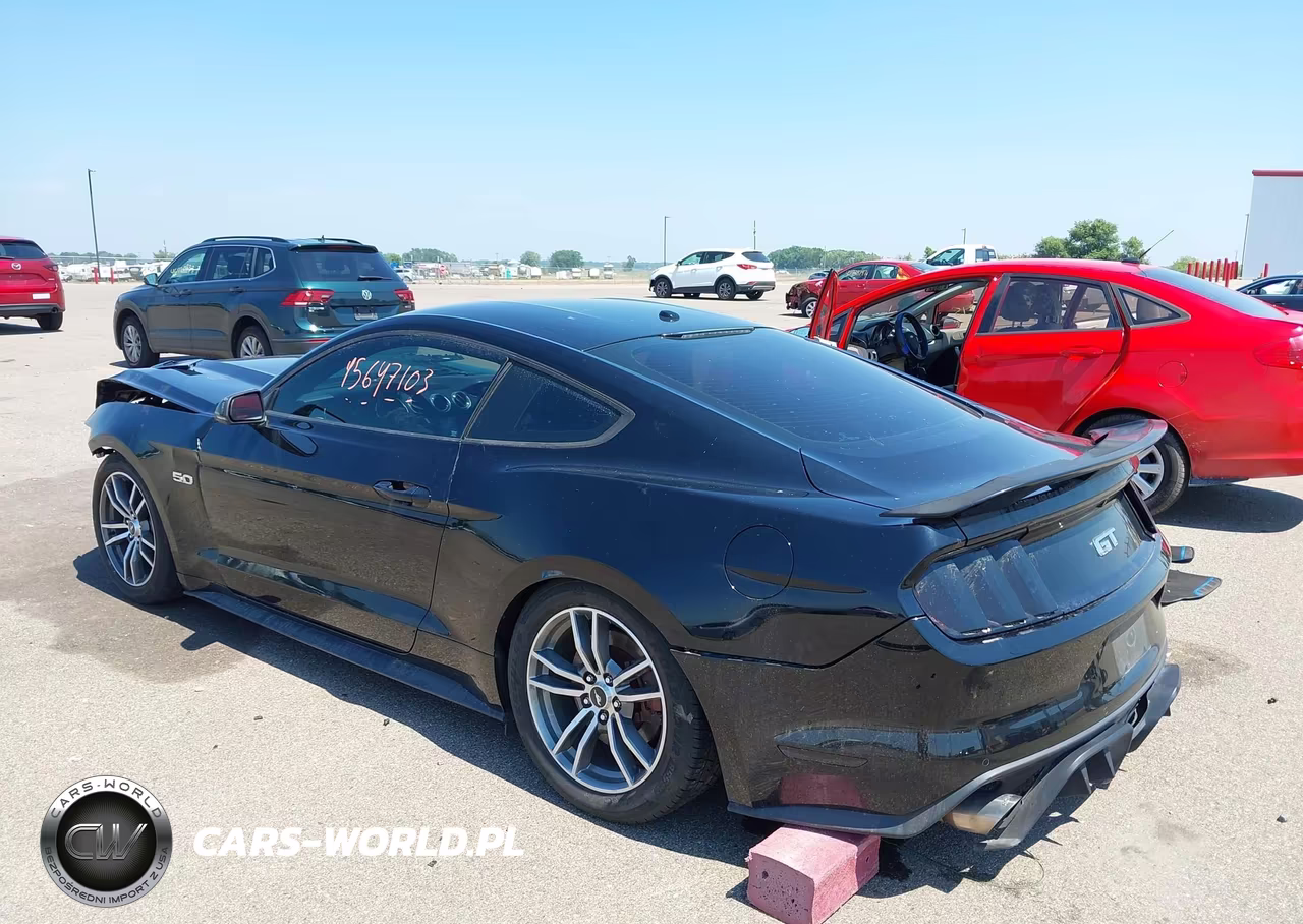 2015 Ford Mustang Gt Premium VIN:1FA6P8CF5F5391393 - 3