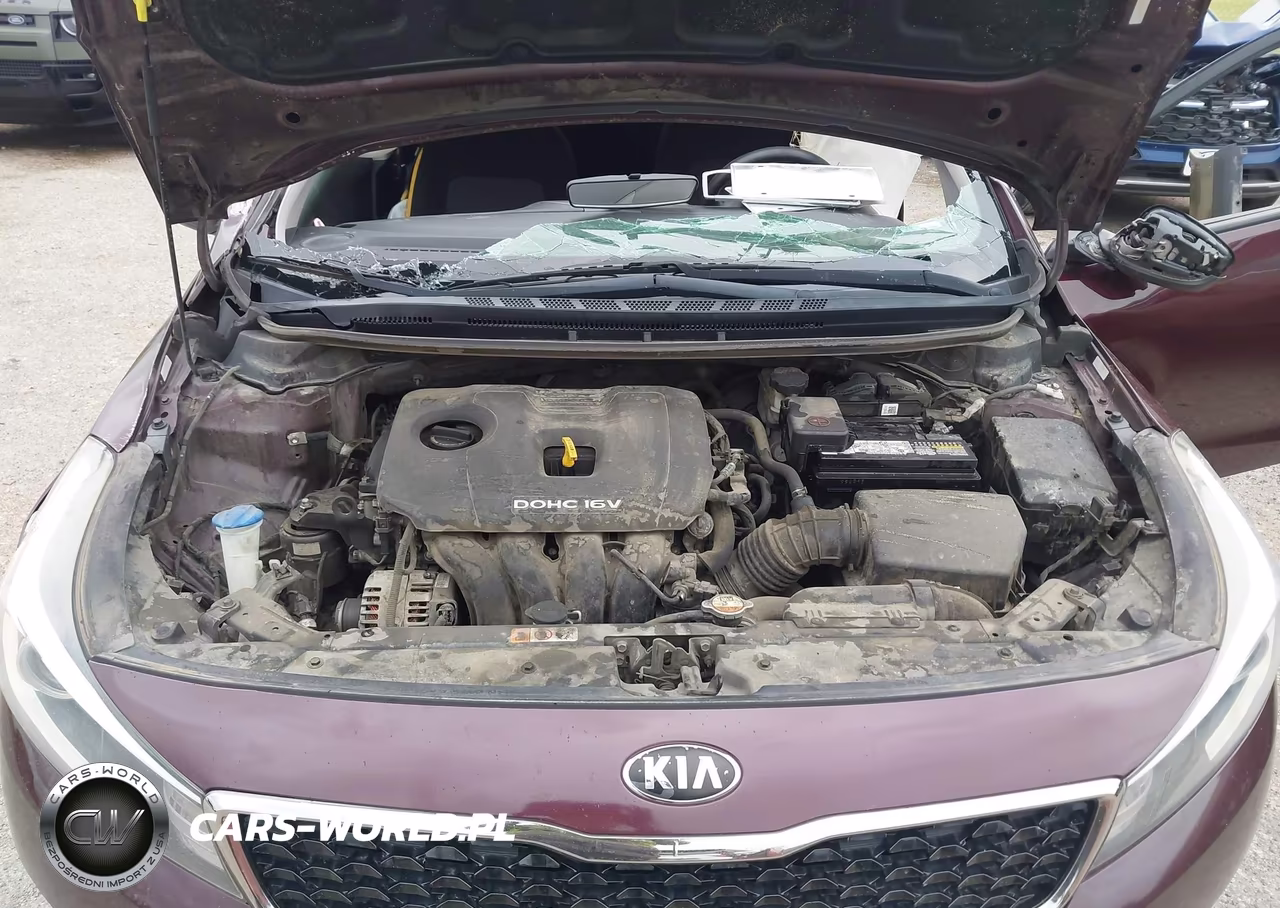 2018 Kia Forte Lx VIN:3KPFK4A70JE190155 - 10