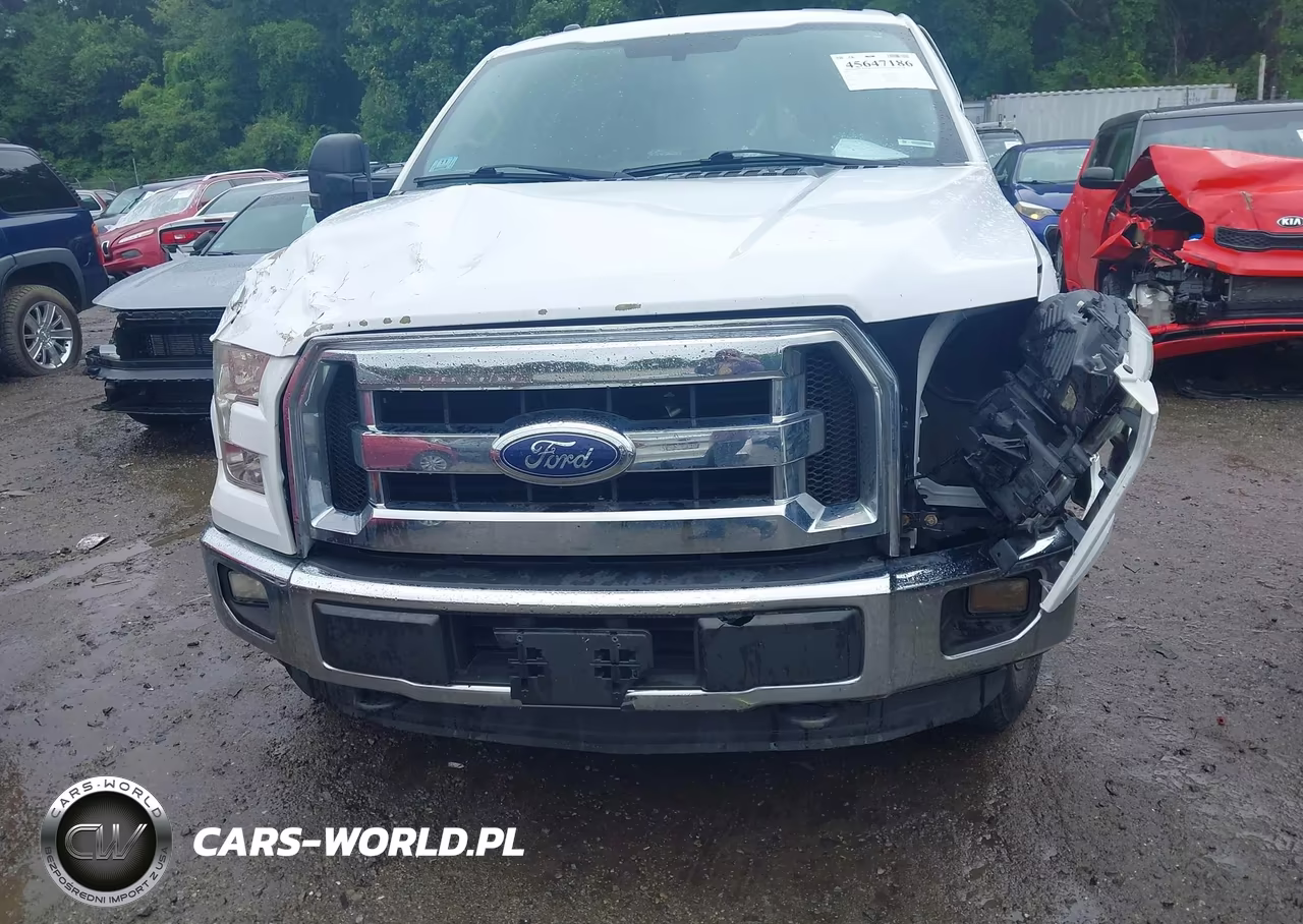 2015 Ford F-150 Xlt VIN:1FTFX1EG0FKD22426 - 11