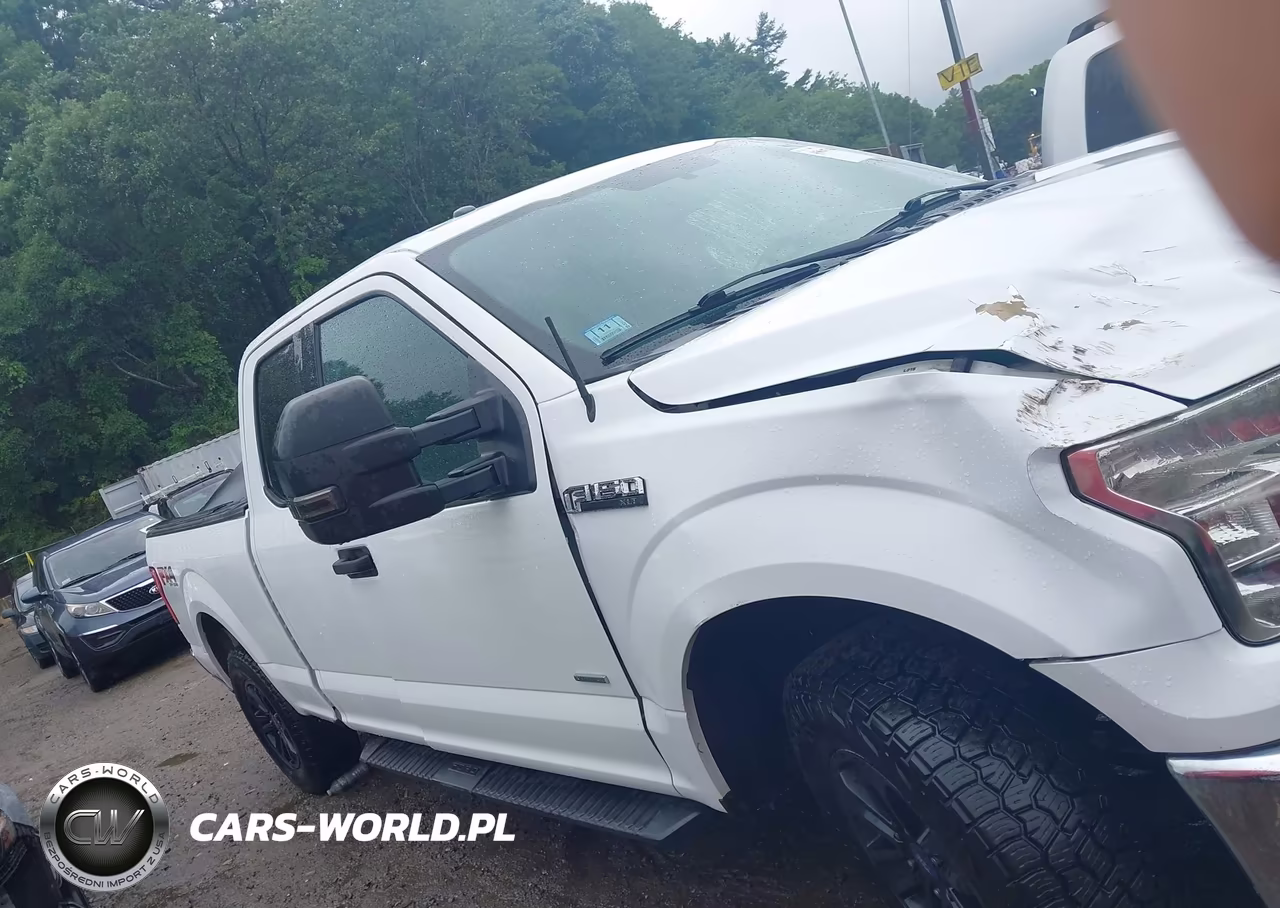 2015 Ford F-150 Xlt VIN:1FTFX1EG0FKD22426 - 12