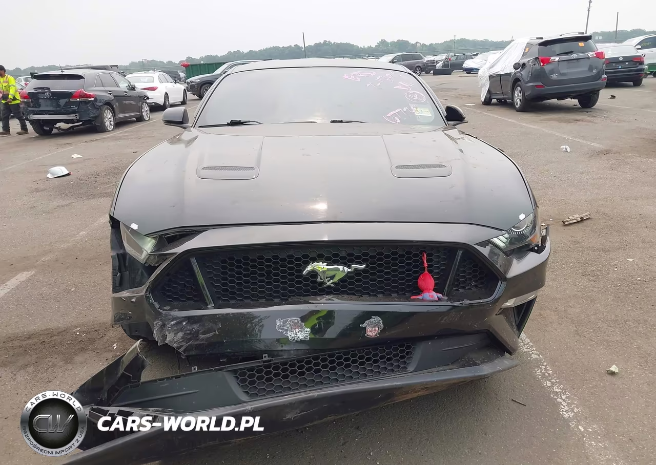 2019 Ford Mustang Gt Premium VIN:1FA6P8CF7K5167732 - 12