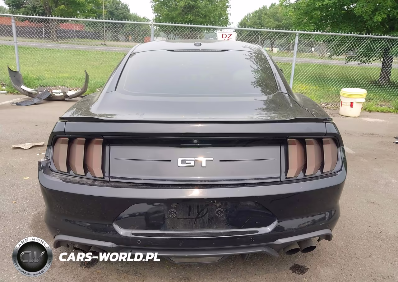 2019 Ford Mustang Gt Premium VIN:1FA6P8CF7K5167732 - 16