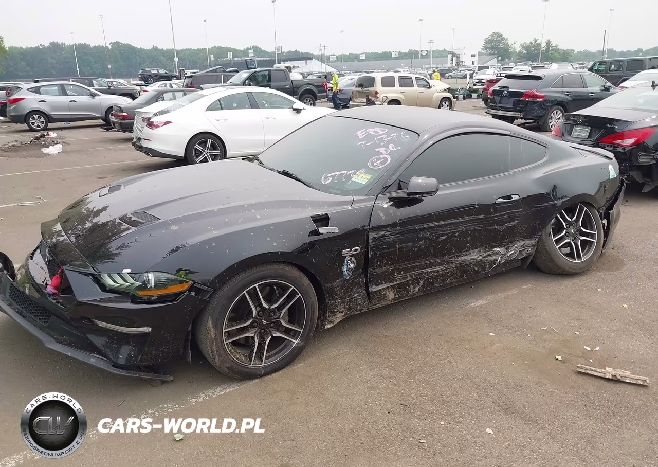 2019 Ford Mustang Gt Premium VIN:1FA6P8CF7K5167732 - 2