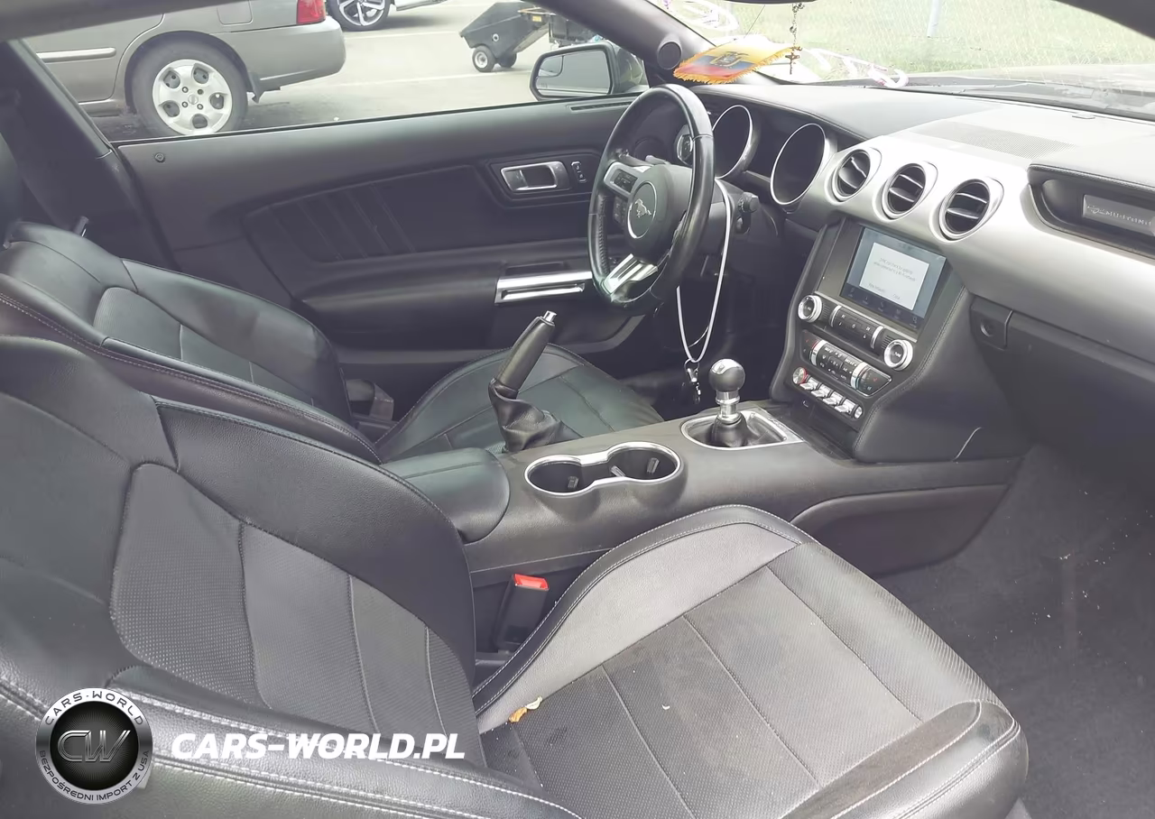 2019 Ford Mustang Gt Premium VIN:1FA6P8CF7K5167732 - 5