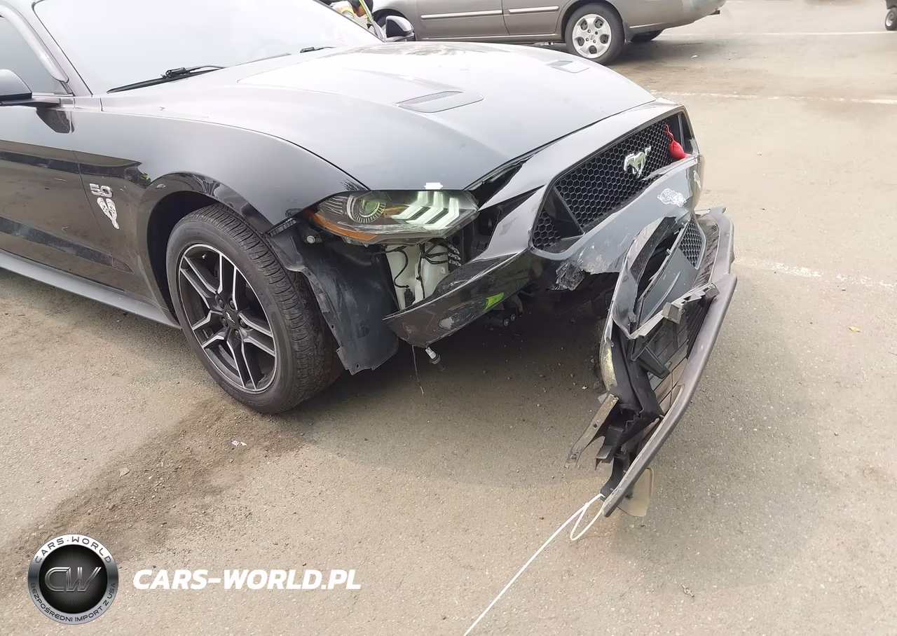 2019 Ford Mustang Gt Premium VIN:1FA6P8CF7K5167732 - 6