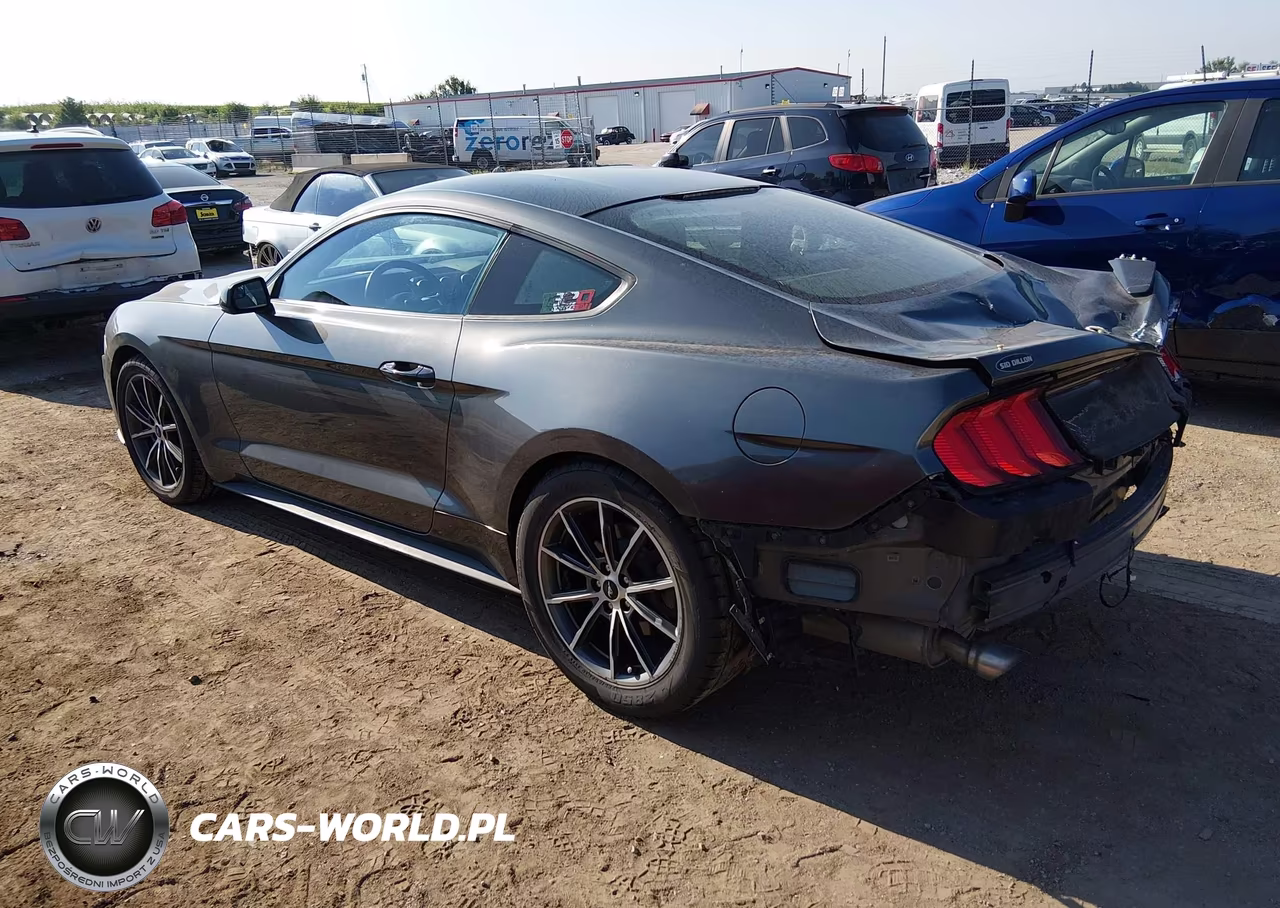 2018 Ford Mustang Ecoboost VIN:1FA6P8TH0J5113754 - 3