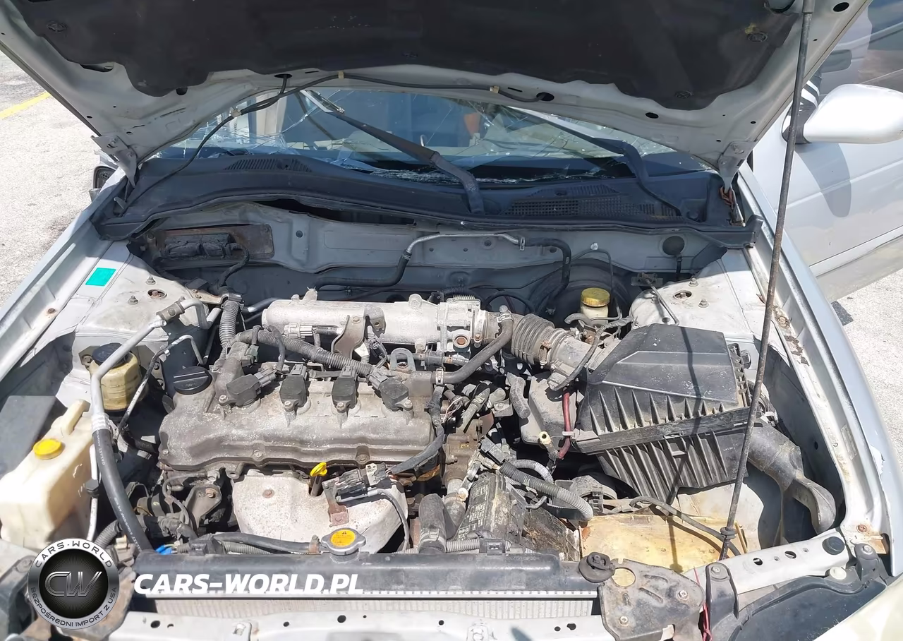 2005 Nissan Sentra 1.8S VIN:3N1CB51D35L457789 - 10