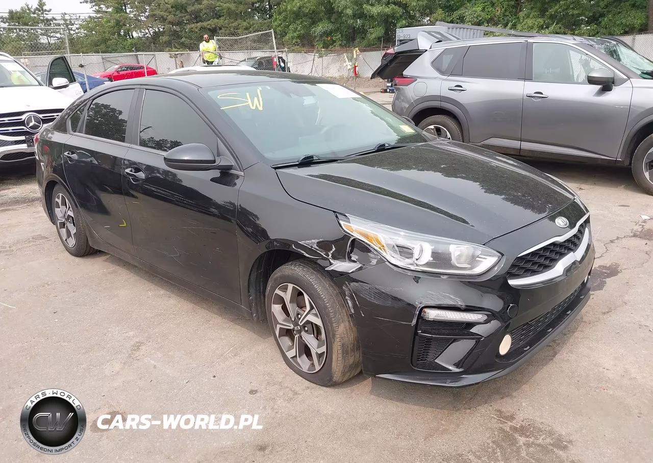 2019 Kia Forte Lxs