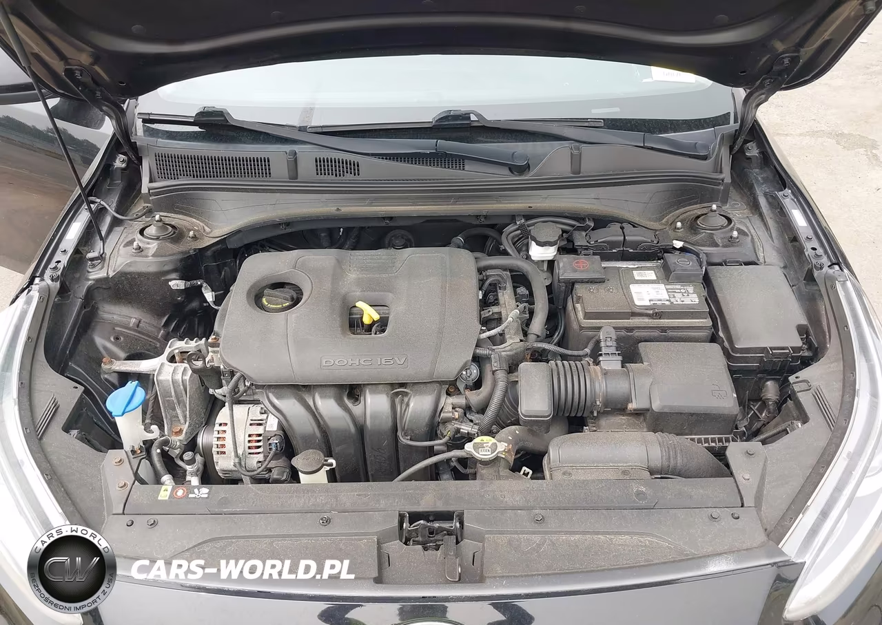 2019 Kia Forte Lxs VIN:3KPF24AD8KE066903 - 10