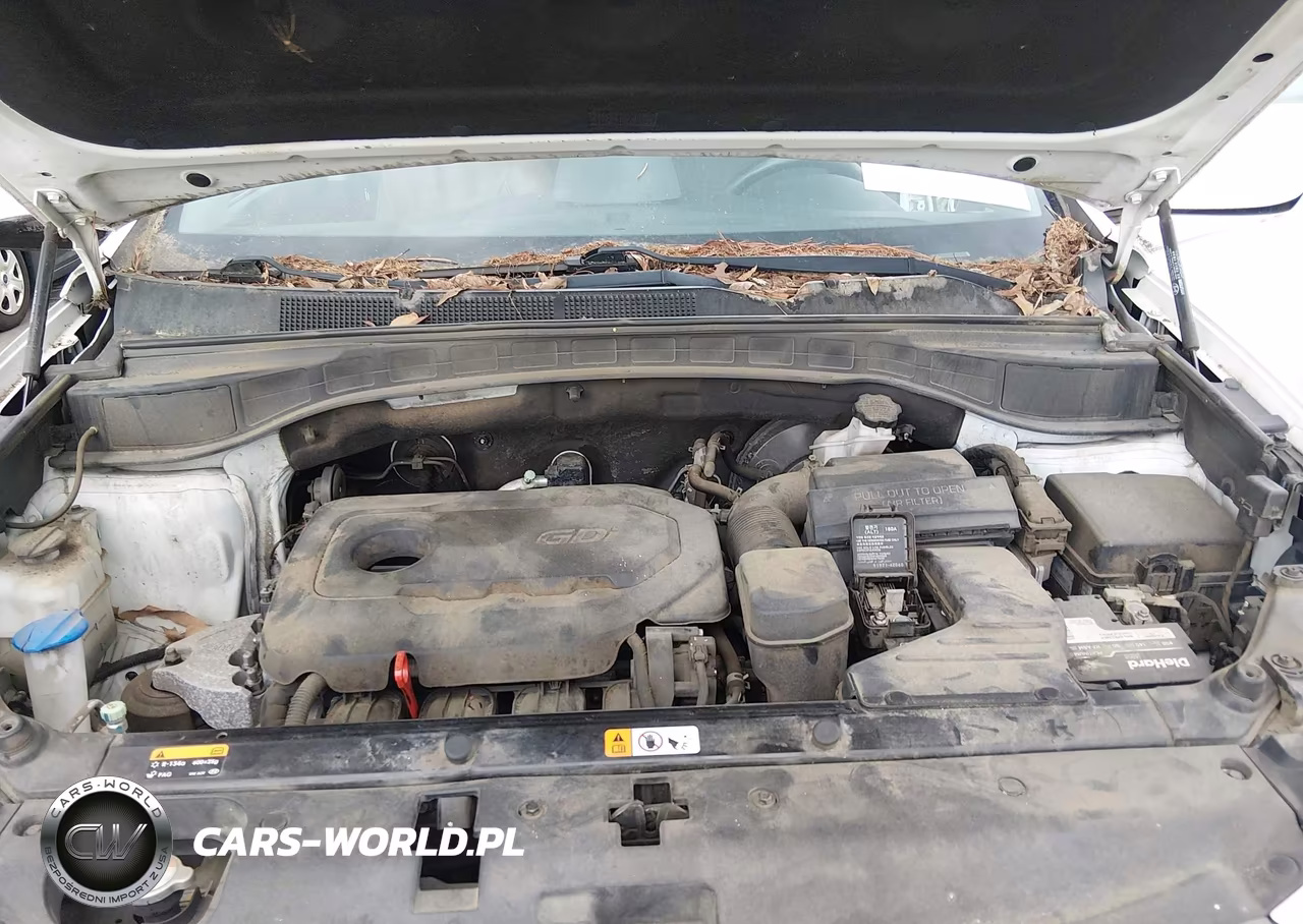 2017 Hyundai Santa Fe Sport 2.4L VIN:5NMZT3LB7HH022425 - 10
