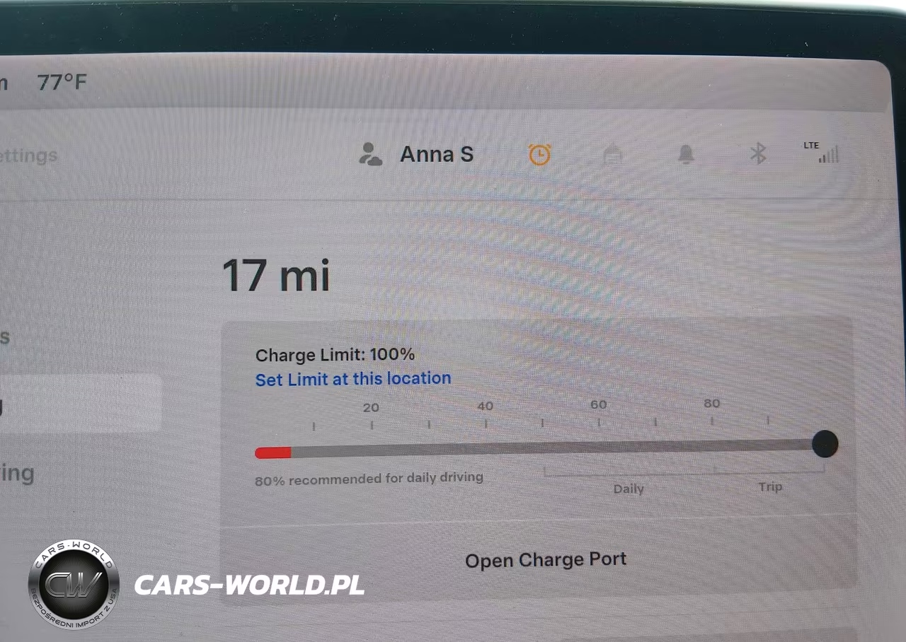 2020 Tesla Model 3 Performance Dual Motor All-Wheel Drive VIN:5YJ3E1EC5LF623580 - 17