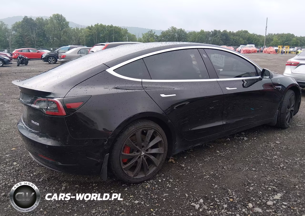 2020 Tesla Model 3 Performance Dual Motor All-Wheel Drive VIN:5YJ3E1EC5LF623580 - 4