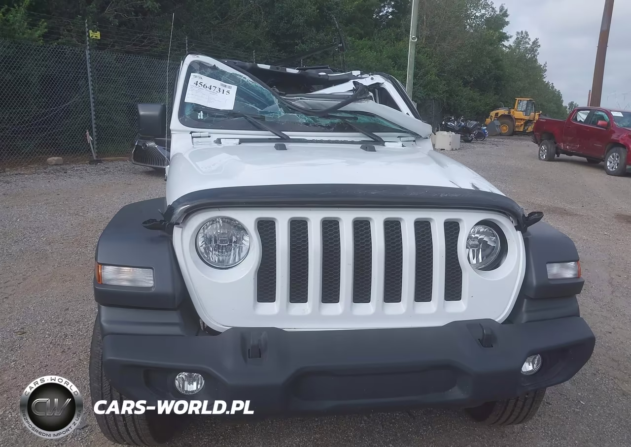 2023 Jeep Wrangler 2-Door Sport S 4X4 VIN:1C4GJXAN1PW654141 - 10