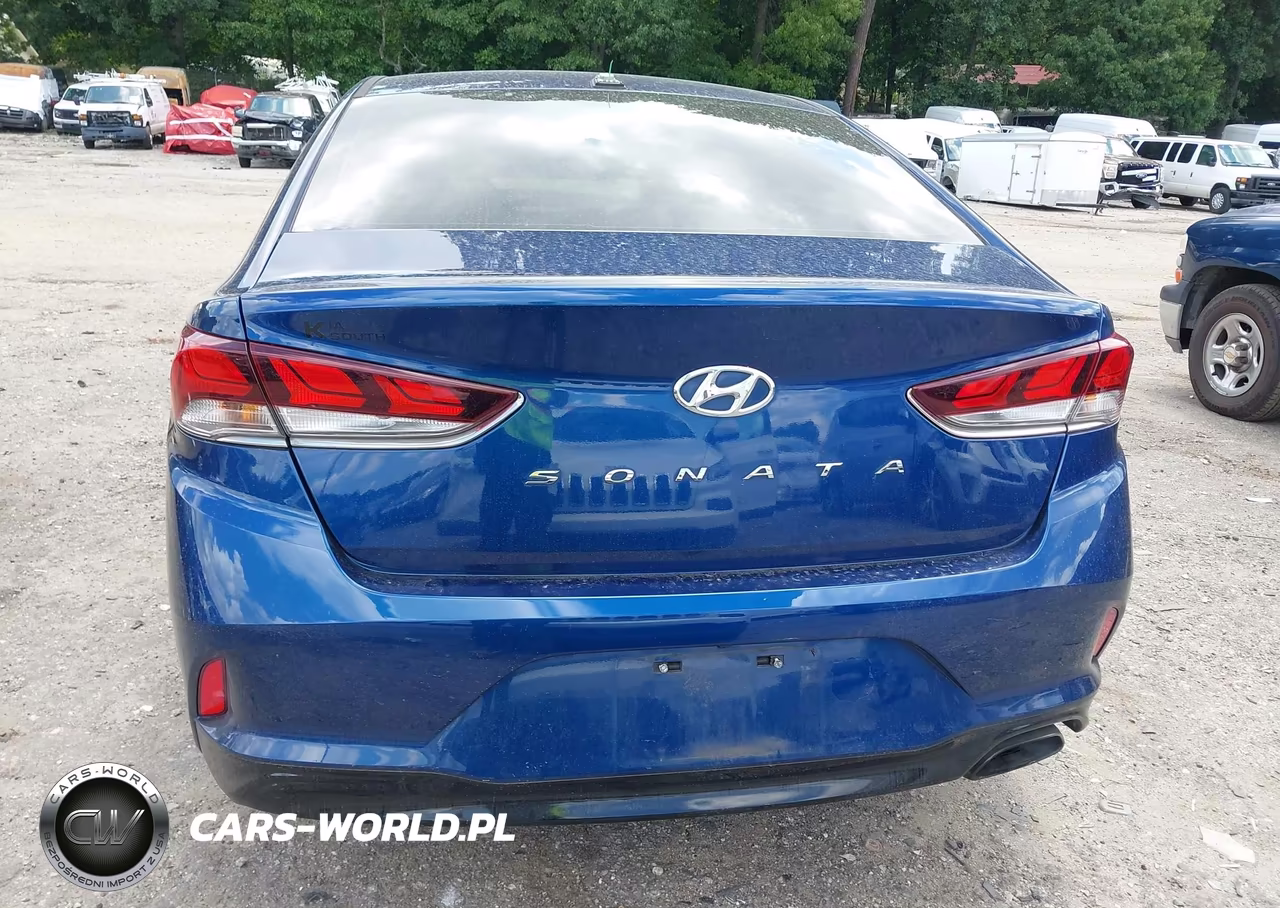2018 Hyundai Sonata Sel VIN:5NPE34AFXJH631141 - 16