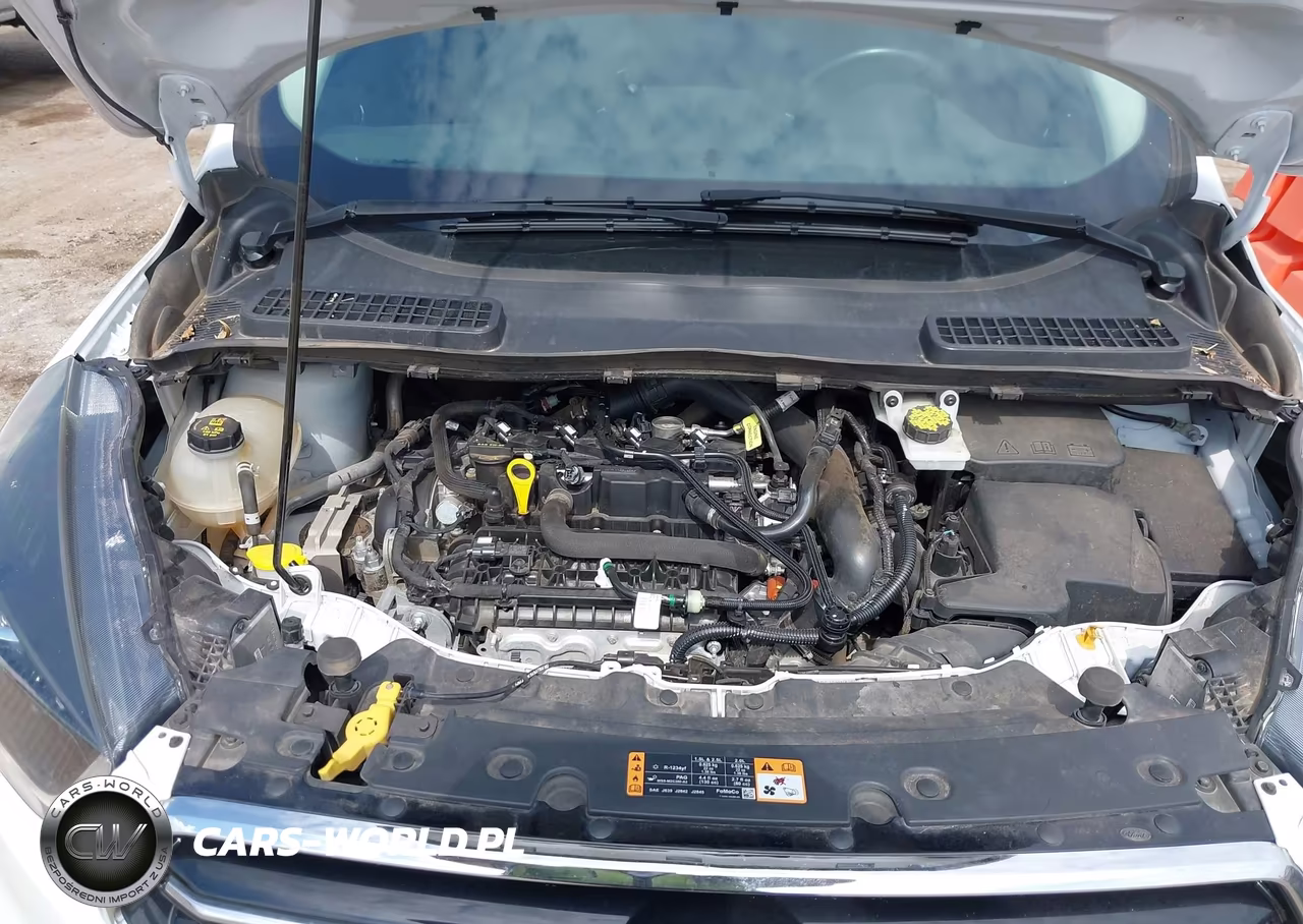 2019 Ford Escape Se VIN:1FMCU0GD2KUB00893 - 10