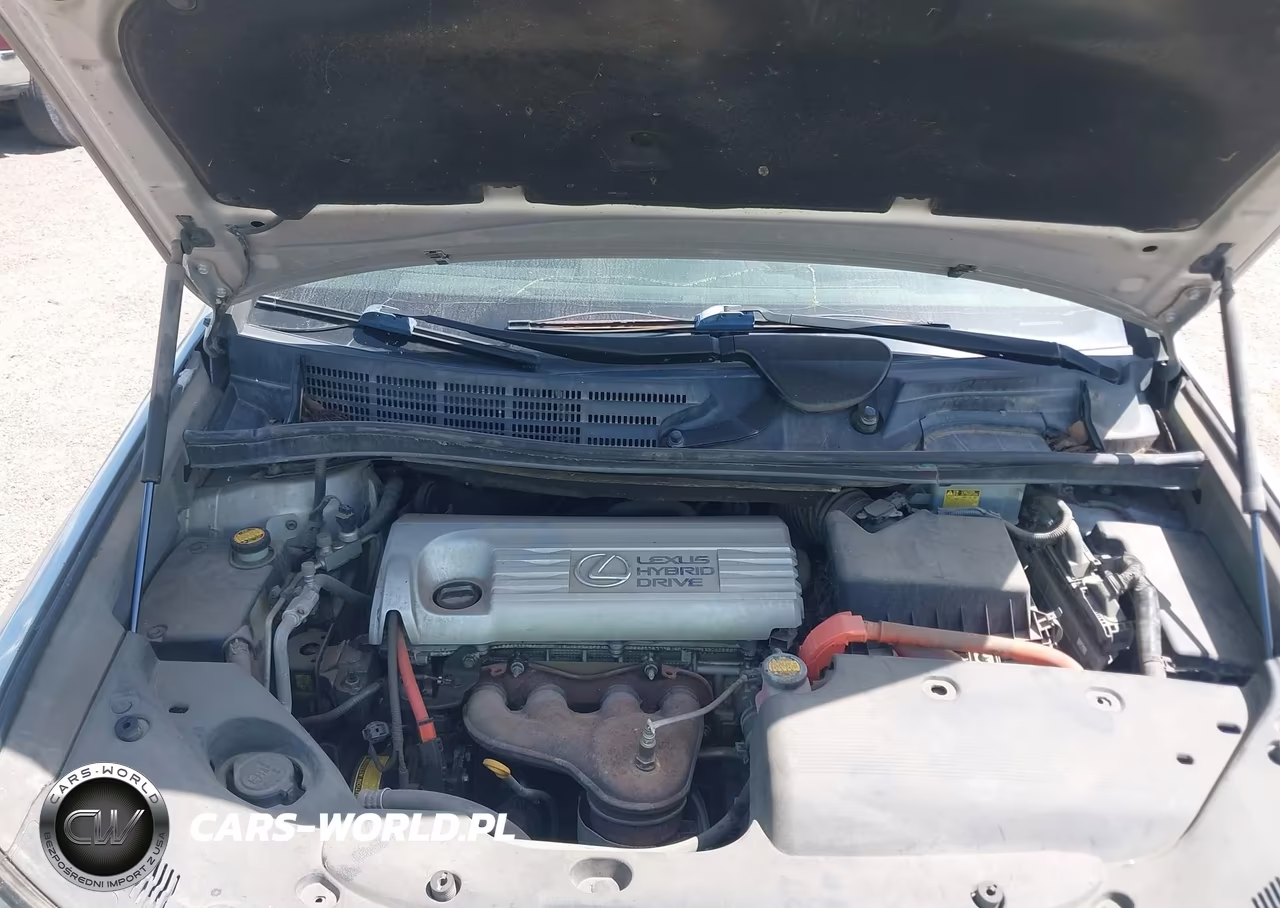 2010 Lexus Hs 250H Premium VIN:JTHBB1BA6A2010602 - 10