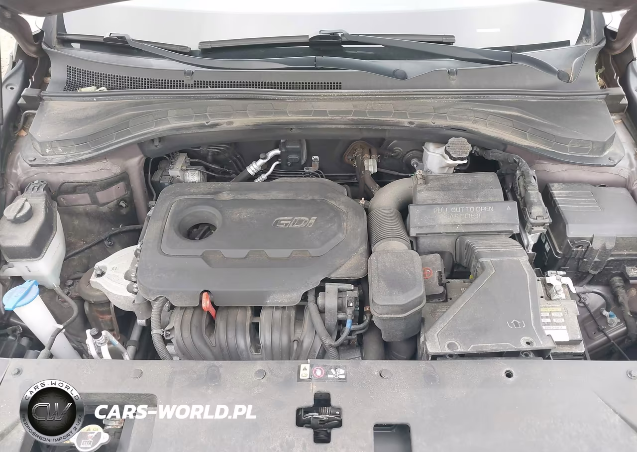 2019 Hyundai Santa Fe Sel VIN:5NMS3CAD7KH005637 - 10