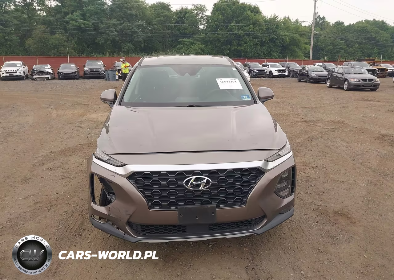 2019 Hyundai Santa Fe Sel VIN:5NMS3CAD7KH005637 - 12