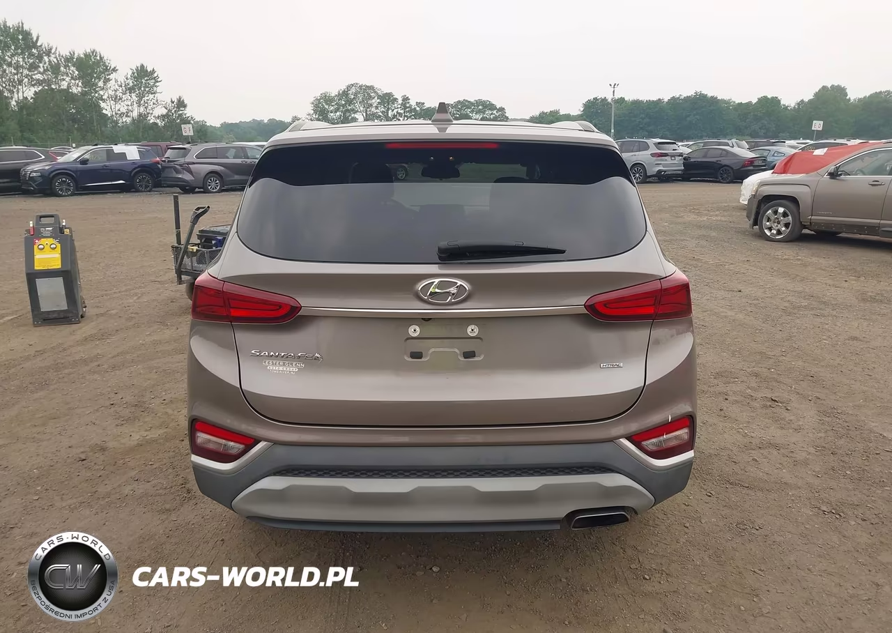 2019 Hyundai Santa Fe Sel VIN:5NMS3CAD7KH005637 - 16