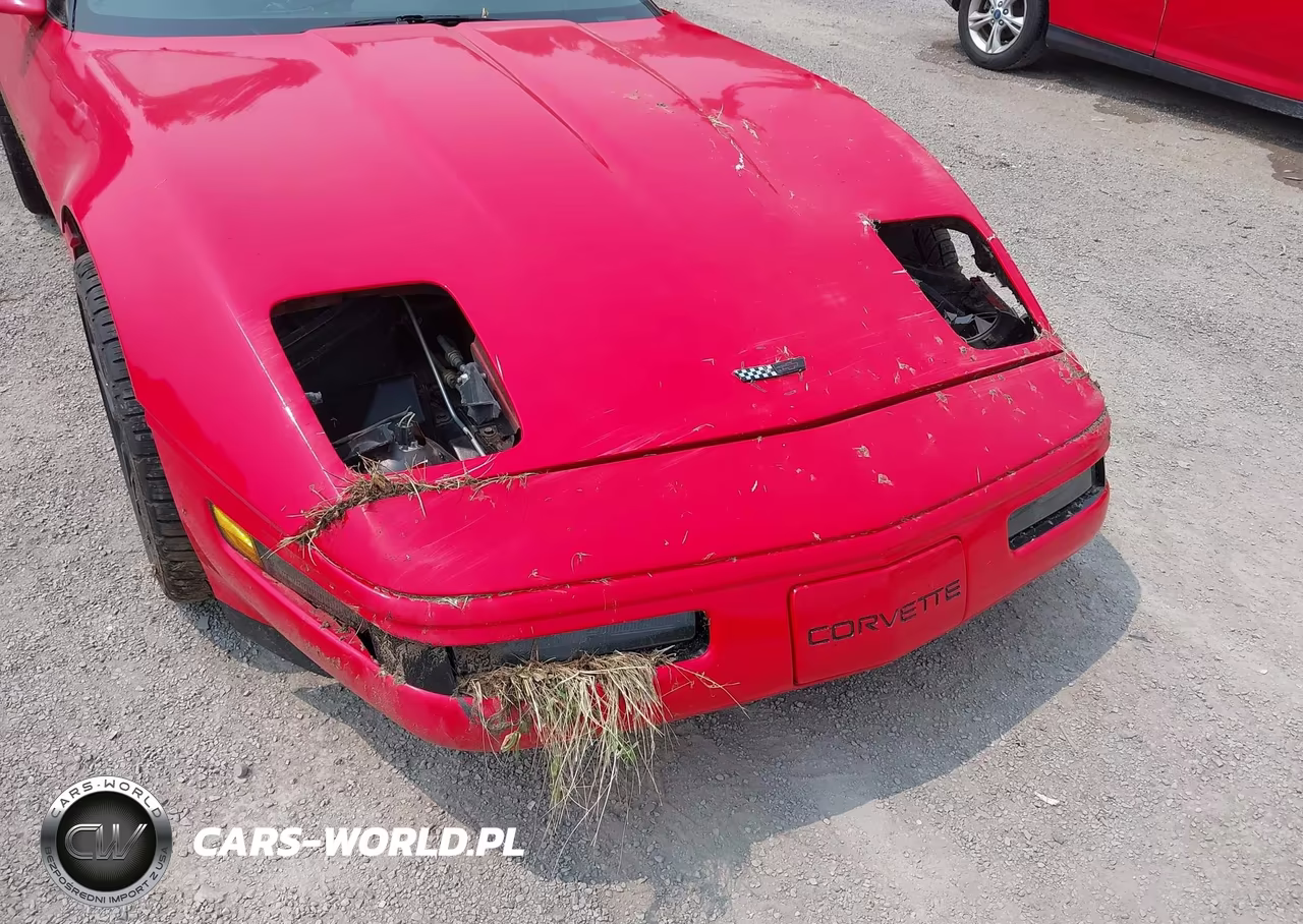 1994 Chevrolet Corvette VIN:1G1YY22P0R5116681 - 15