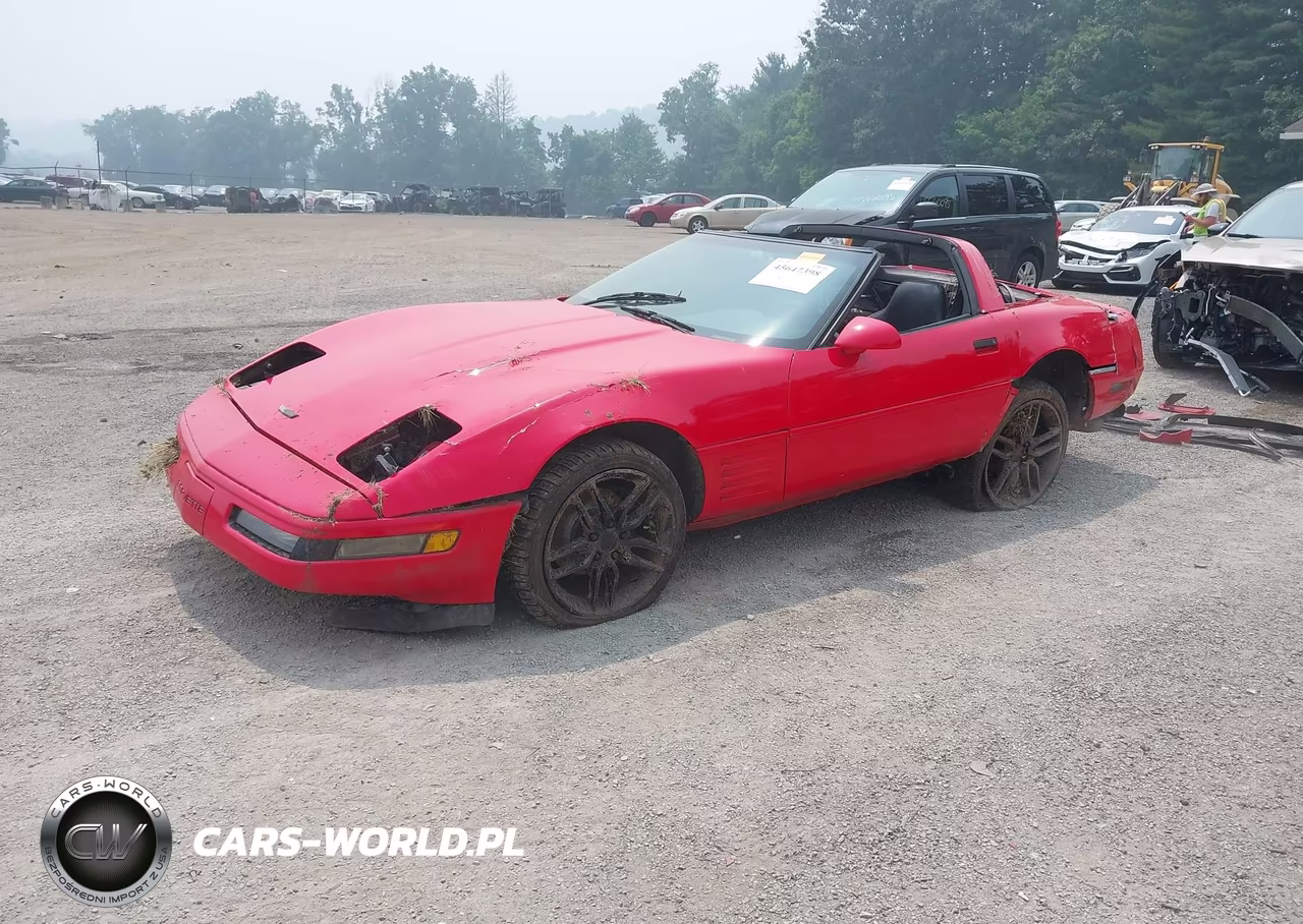 1994 Chevrolet Corvette VIN:1G1YY22P0R5116681 - 2