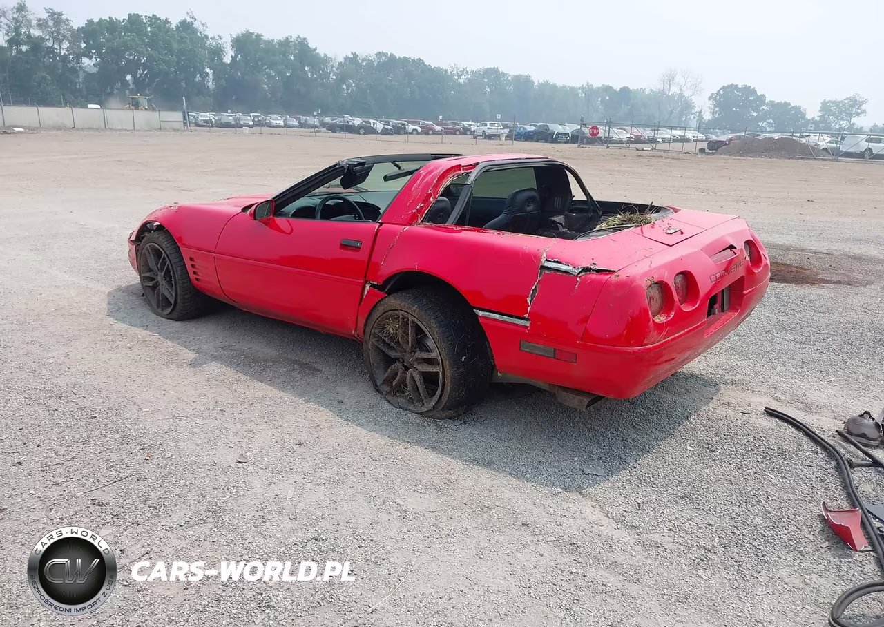 1994 Chevrolet Corvette VIN:1G1YY22P0R5116681 - 3