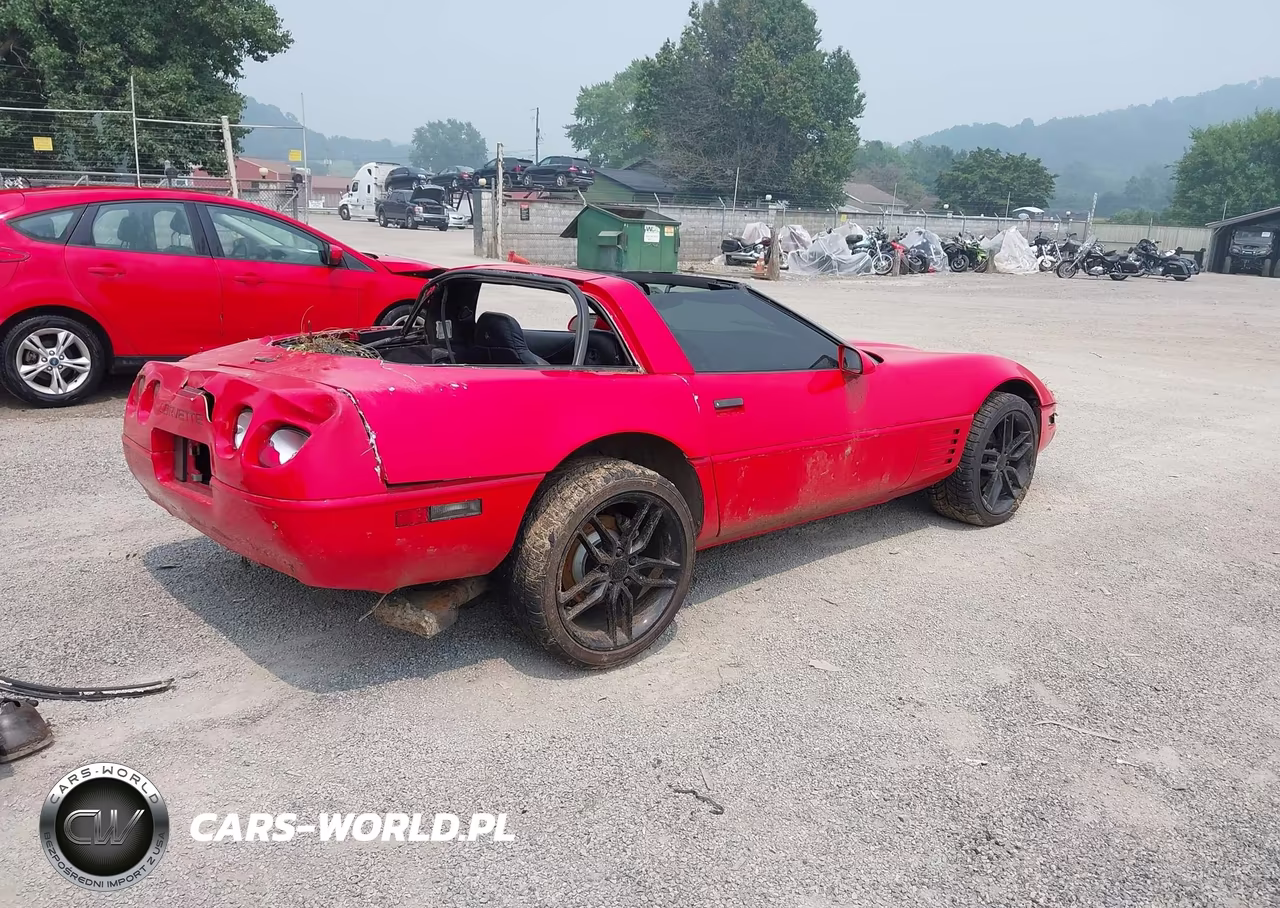 1994 Chevrolet Corvette VIN:1G1YY22P0R5116681 - 4