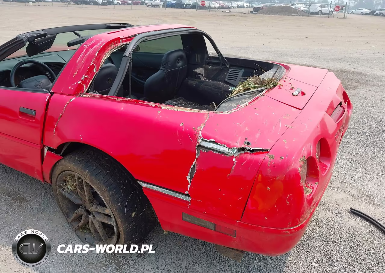 1994 Chevrolet Corvette VIN:1G1YY22P0R5116681 - 6