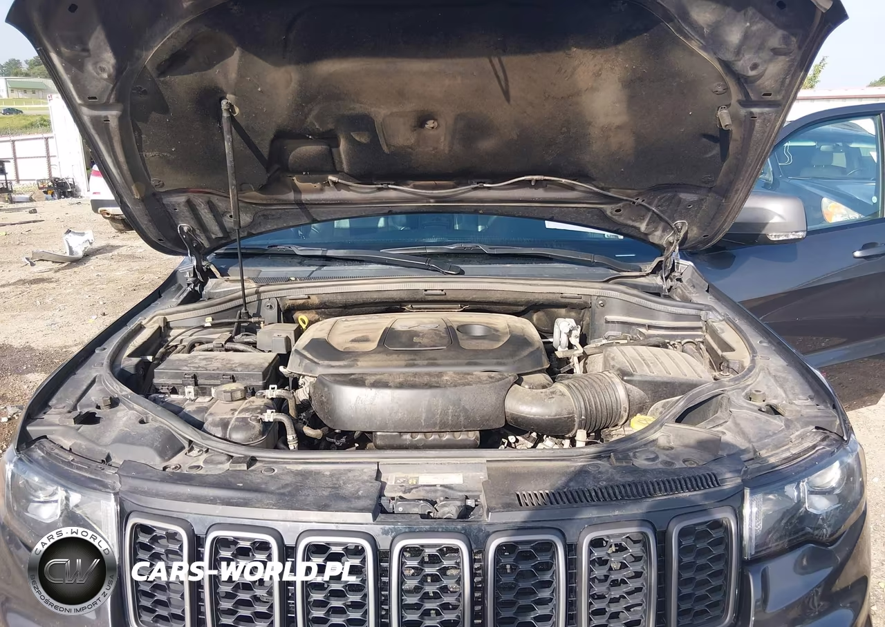 2017 Jeep Grand Cherokee Trailhawk VIN:1C4RJFLG6HC614352 - 10