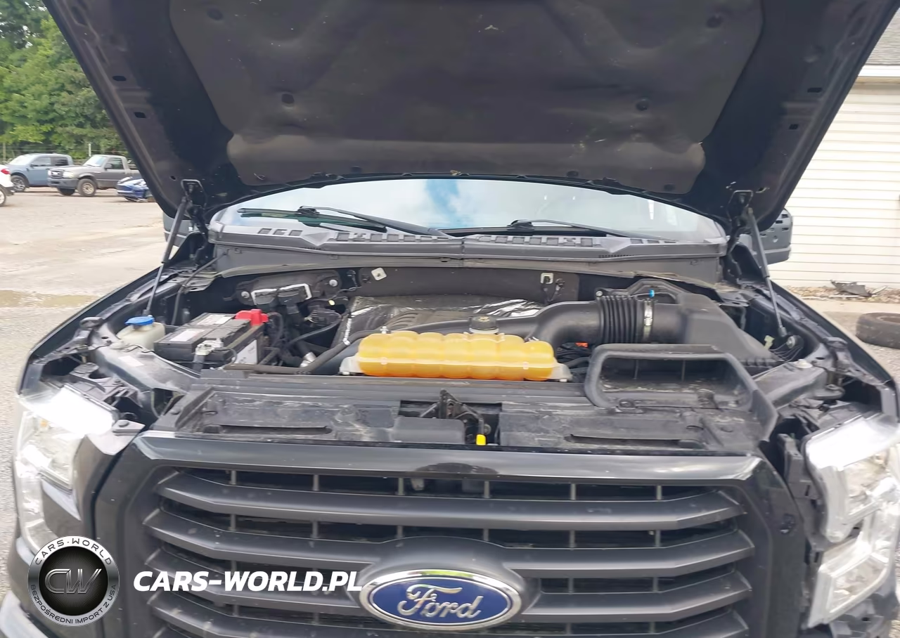 2015 Ford F-150 Xlt VIN:1FTFW1EG9FFB92478 - 10