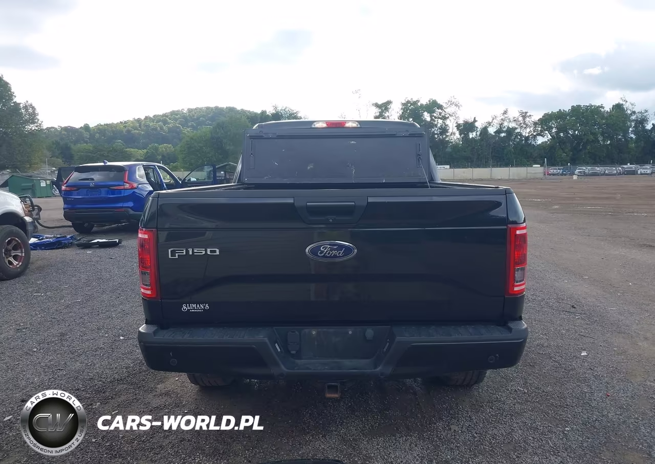 2015 Ford F-150 Xlt VIN:1FTFW1EG9FFB92478 - 17