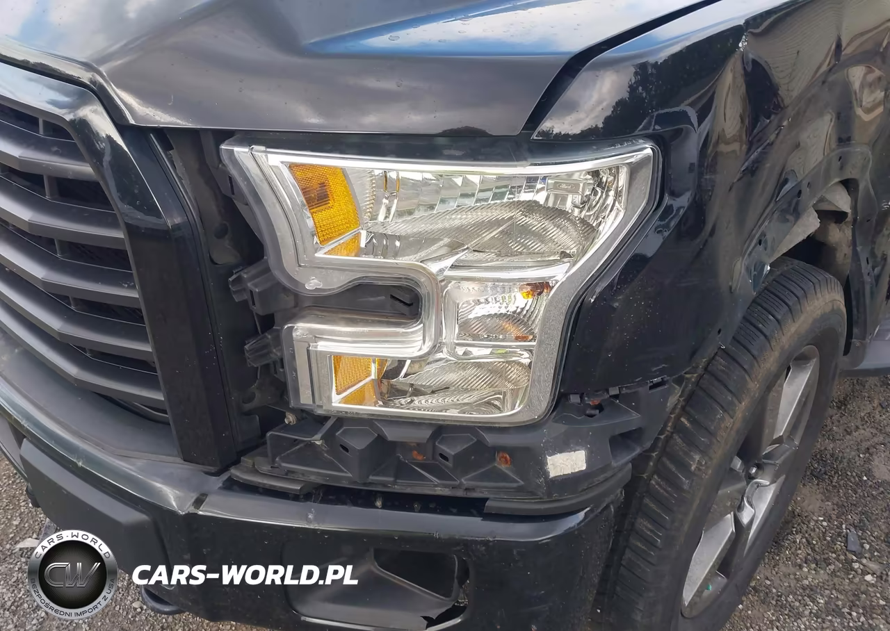 2015 Ford F-150 Xlt VIN:1FTFW1EG9FFB92478 - 22