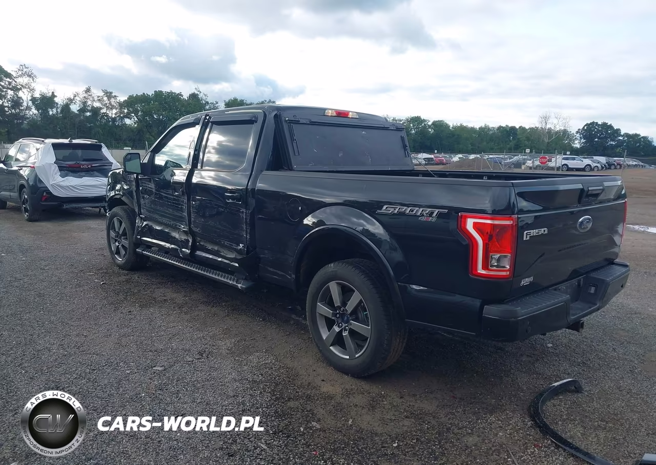 2015 Ford F-150 Xlt VIN:1FTFW1EG9FFB92478 - 3