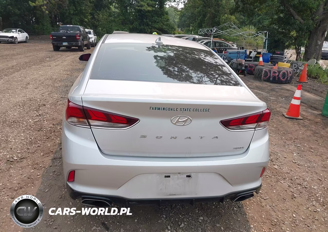 2019 Hyundai Sonata Sport VIN:5NPE34AF1KH742419 - 16