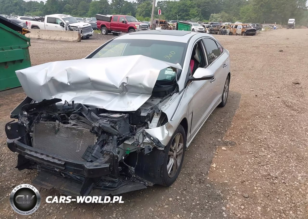 2019 Hyundai Sonata Sport VIN:5NPE34AF1KH742419 - 2