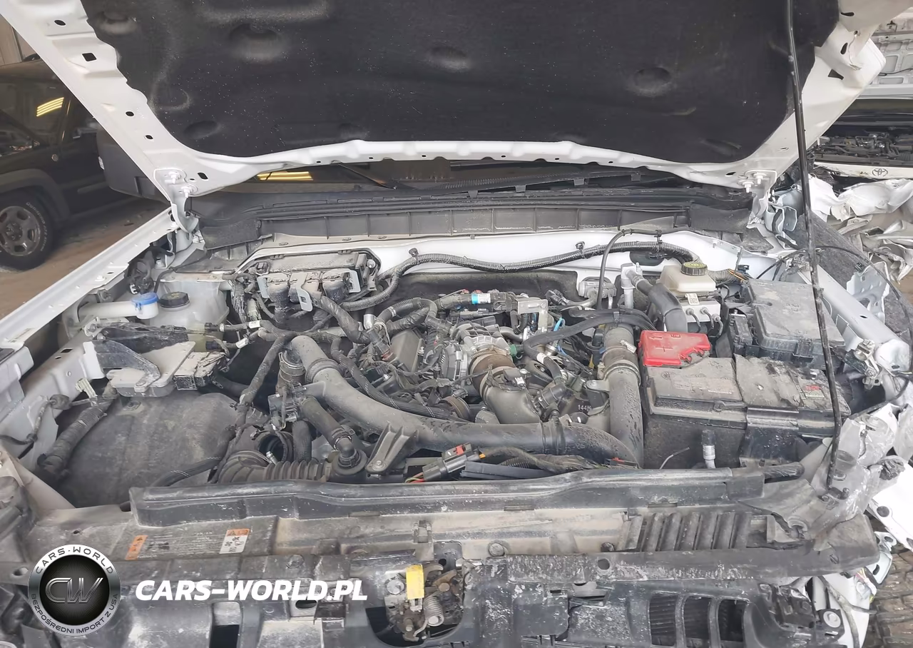 2024 Ford Bronco Wildtrak VIN:1FMEE2BP8RLB11528 - 10