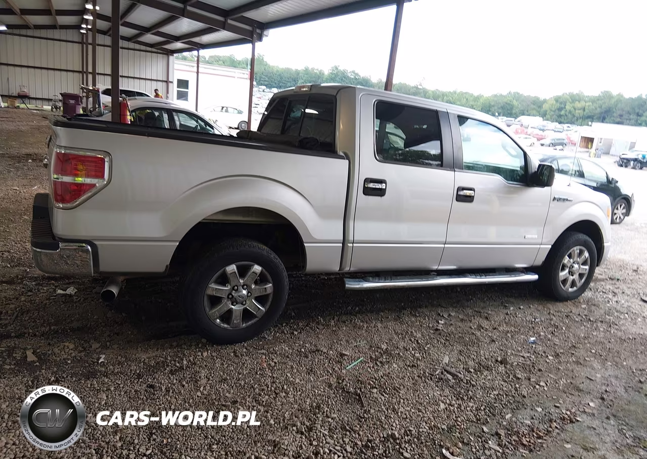 2013 Ford F-150 Xlt VIN:1FTFW1CT1DFC24644 - 13