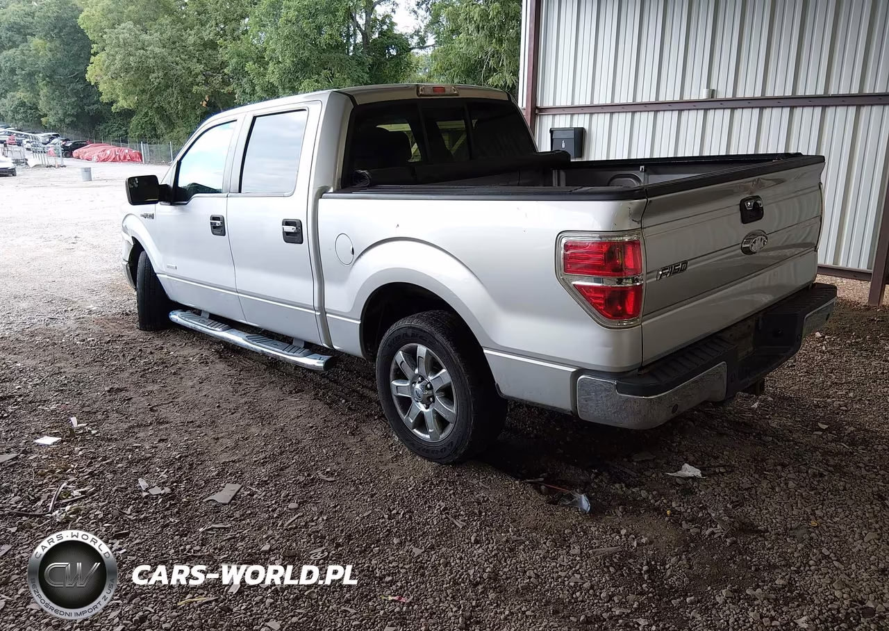 2013 Ford F-150 Xlt VIN:1FTFW1CT1DFC24644 - 3