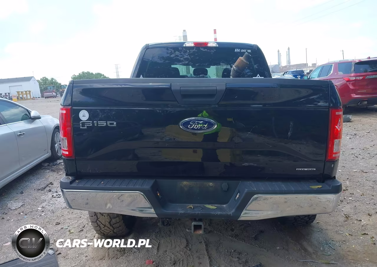 2016 Ford F-150 Xlt VIN:1FTEW1E86GFB55880 - 17