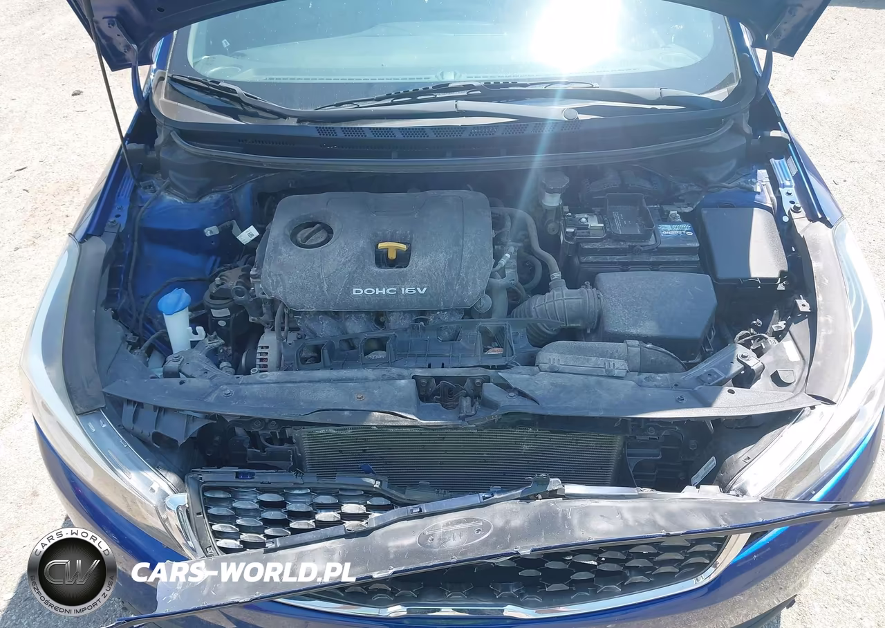 2017 Kia Forte Lx VIN:3KPFK4A75HE041315 - 10