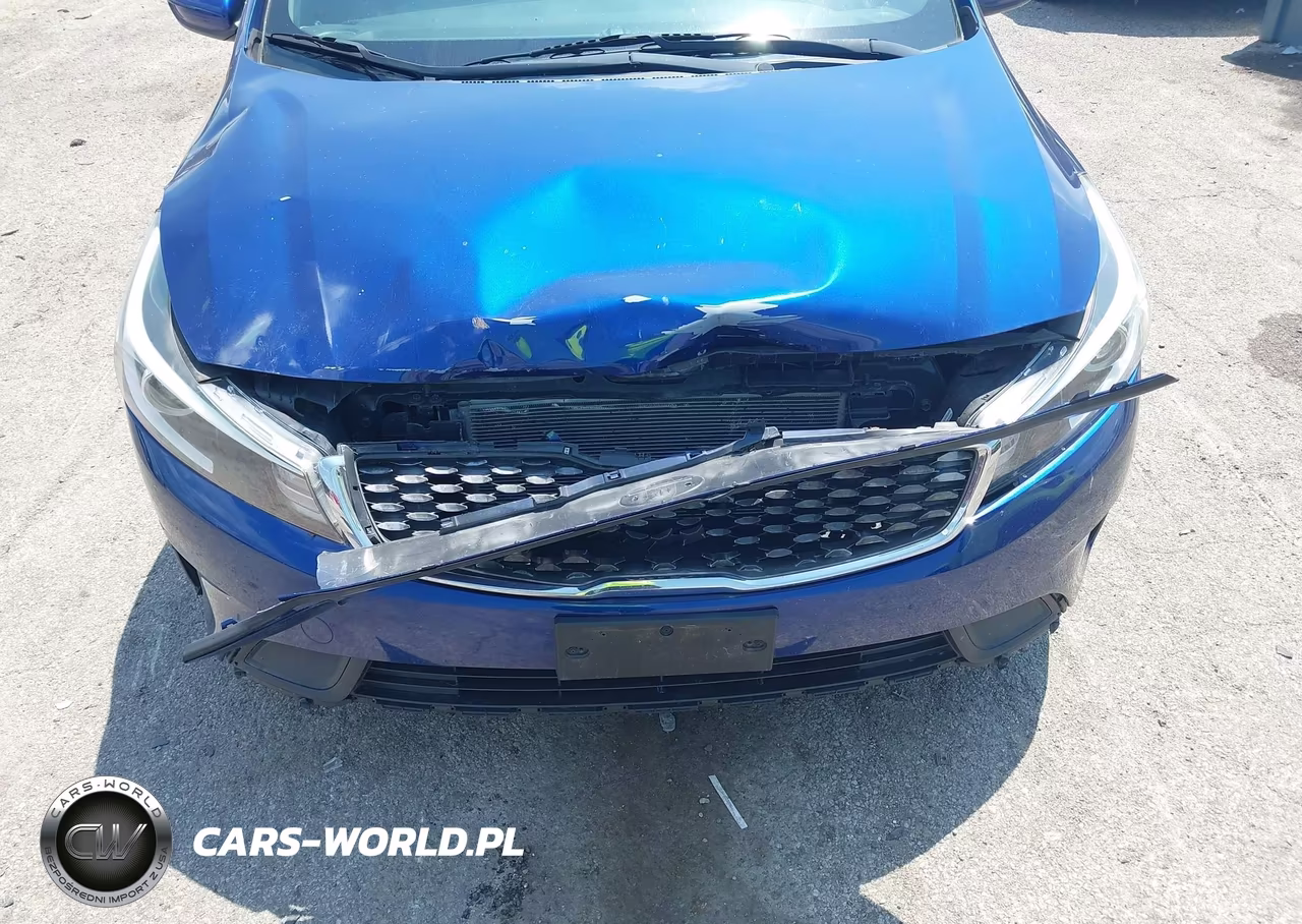 2017 Kia Forte Lx VIN:3KPFK4A75HE041315 - 6