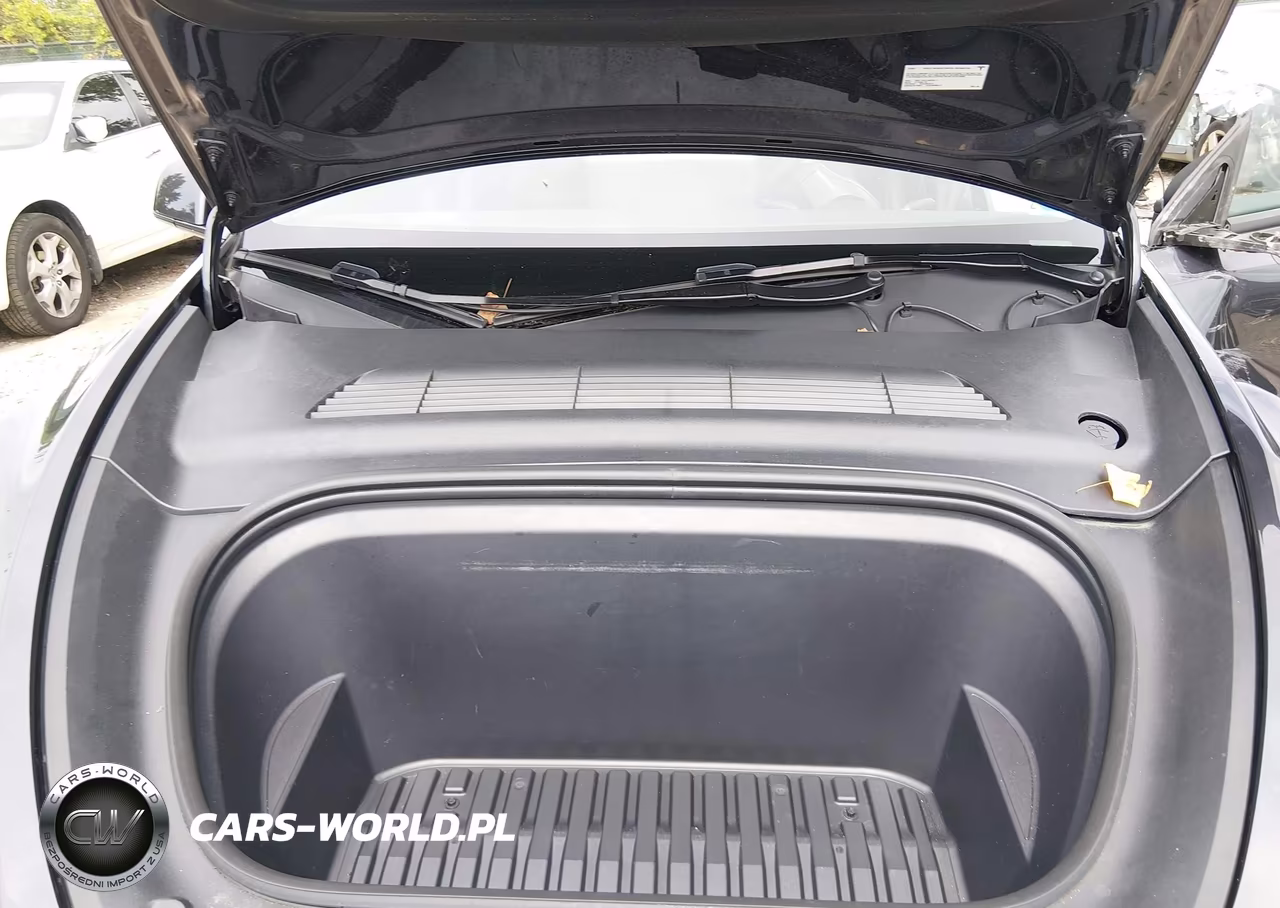 2025 Tesla Model Y Long Range Dual Motor Rear-Wheel Drive VIN:7SAYGDED3SF223481 - 10