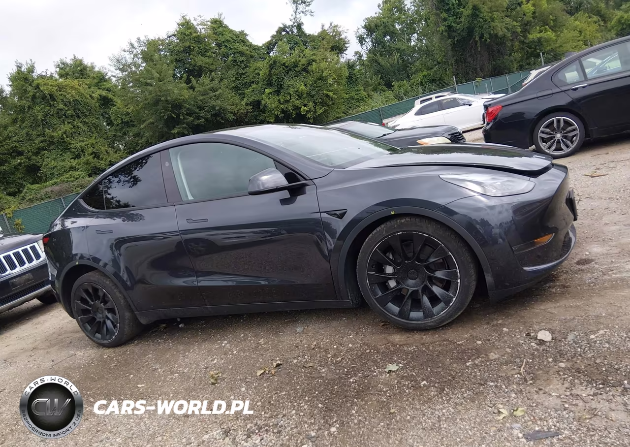 2025 Tesla Model Y Long Range Dual Motor Rear-Wheel Drive VIN:7SAYGDED3SF223481 - 13