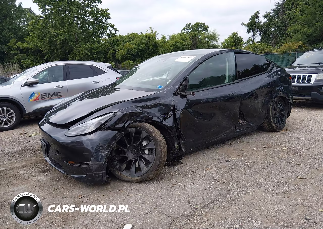 2025 Tesla Model Y Long Range Dual Motor Rear-Wheel Drive VIN:7SAYGDED3SF223481 - 2
