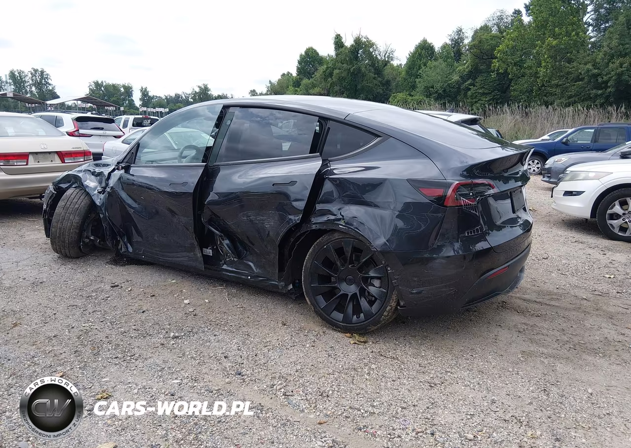 2025 Tesla Model Y Long Range Dual Motor Rear-Wheel Drive VIN:7SAYGDED3SF223481 - 3
