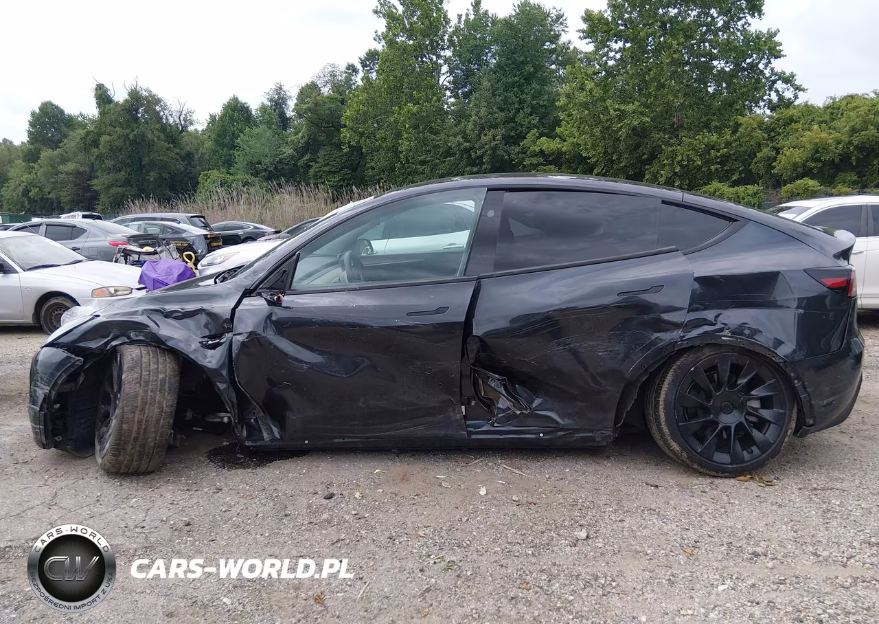 2025 Tesla Model Y Long Range Dual Motor Rear-Wheel Drive VIN:7SAYGDED3SF223481 - 6
