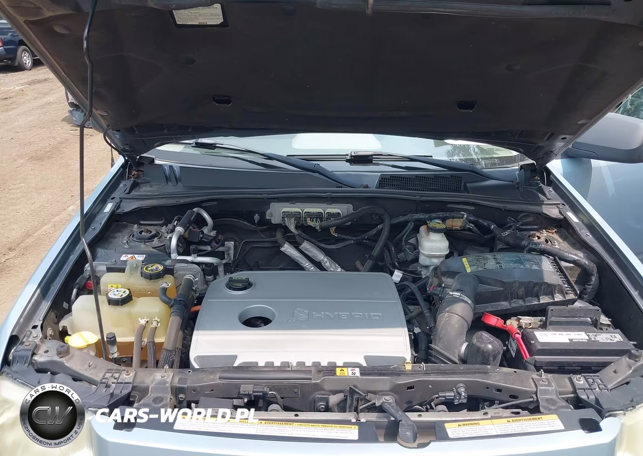 2009 Ford Escape Hybrid VIN:1FMCU49389KA78979 - 10