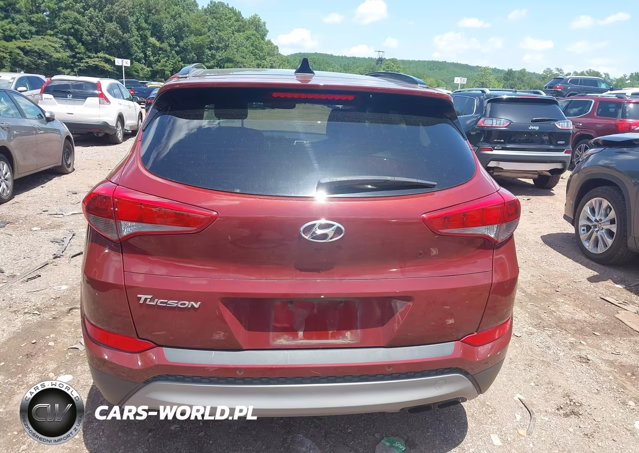 2018 Hyundai Tucson Value VIN:KM8J33A23JU804313 - 16