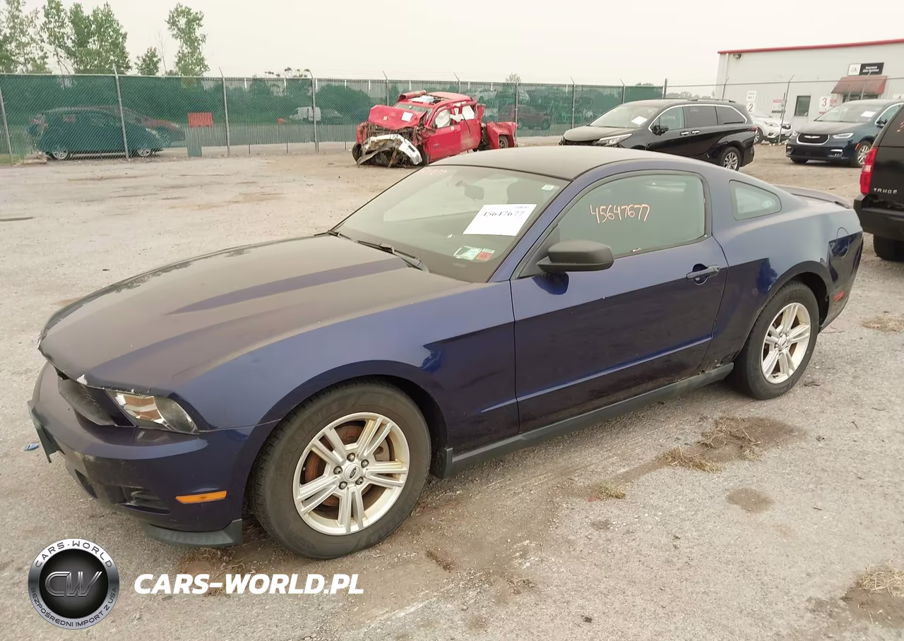 2011 Ford Mustang V6 VIN:1ZVBP8AM6B5157216 - 2